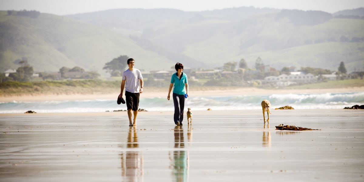 A man and woman walk along the sand on Marengo beach with their dogs following behind. The green hills behind are covered in haze.