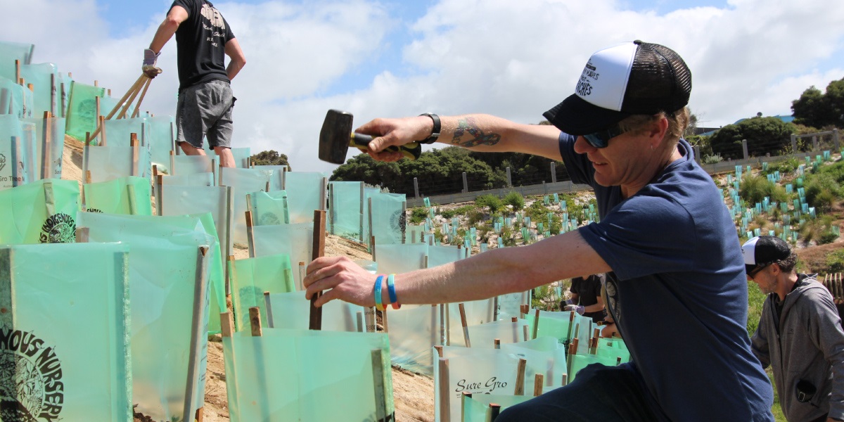 A group of conservation volunteers working within the local environment. One person is pointing to fauna on the ground, next to her a woman leans over a pitchfork listening intently.