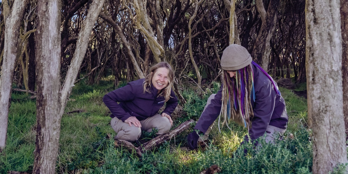 Two members of the Great Ocean Road Coast and Parks Authority Conservation Team at work in the Coastal Moonah Woodlands at Point Roadnight.