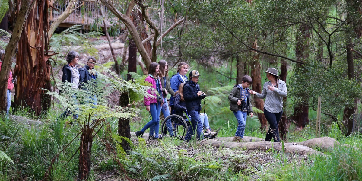 A tour guide leading a diverse group of people through the Victorian bush, on a path cut through the flora.