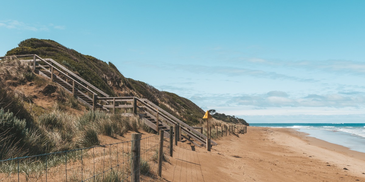 A boardwalk, ending in stairs cuts through a sand dune covered with native grass and shrubs.