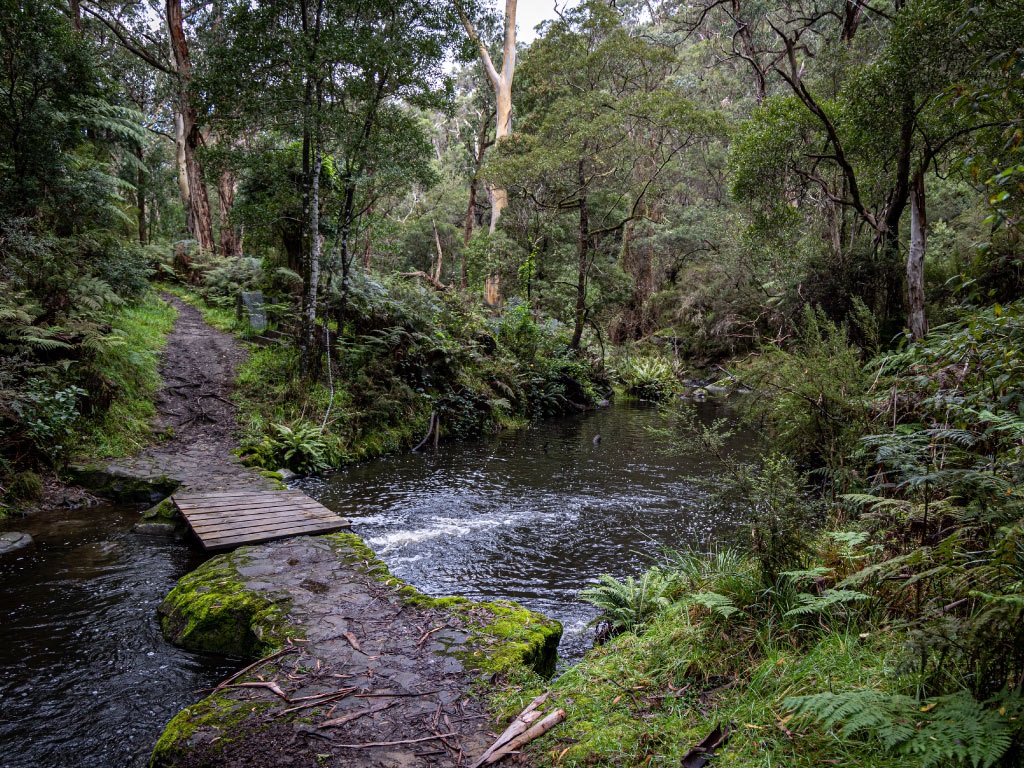 Lorne_Transfer_May2024.jpg