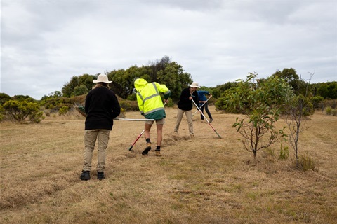 0P7A0852.jpg