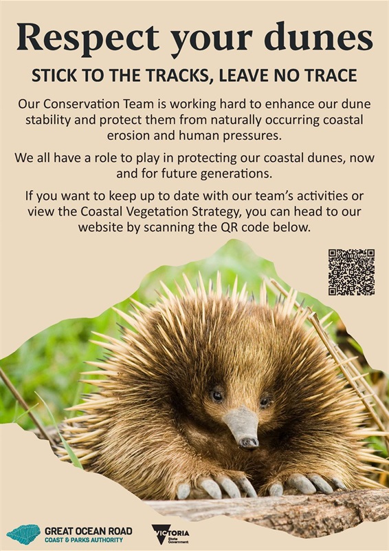 Dunecare Singage_FINAL_01.jpg