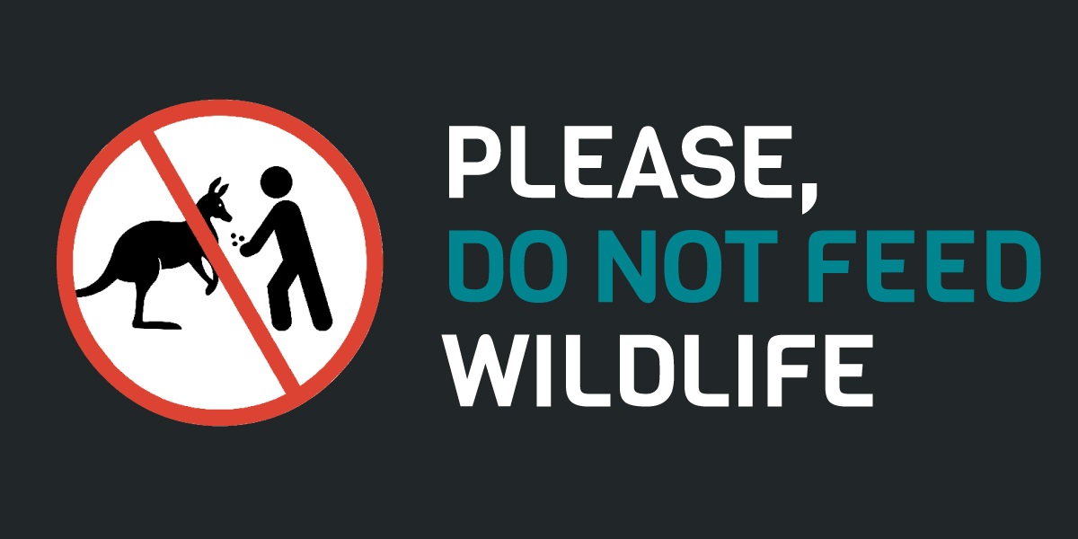 Please, do not feed the wildlife