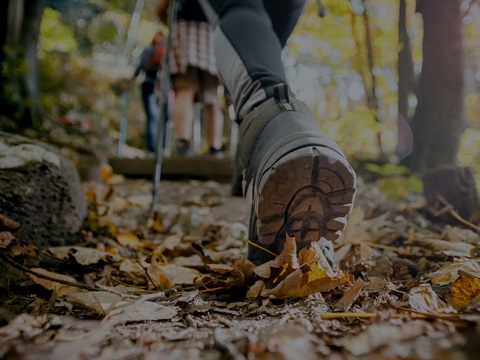 1600x900 walking generic image.jpg