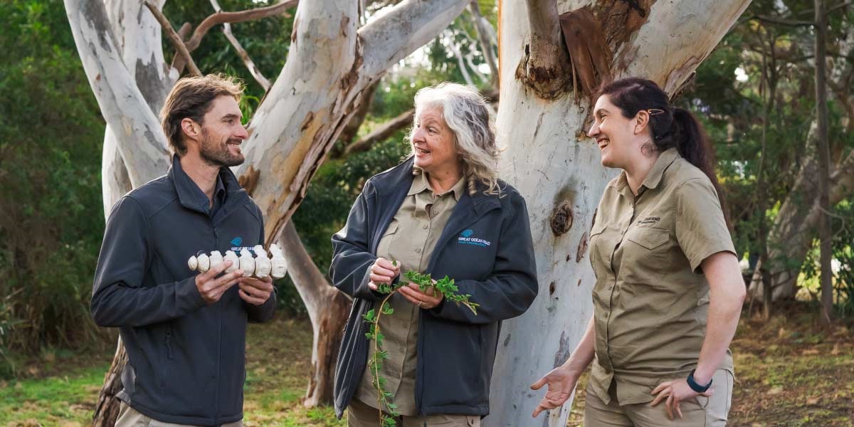 Great Ocean Road Coast Parks Authority - Environmental Education News