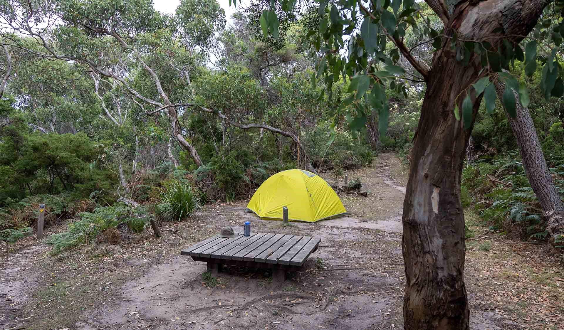 Elliot-Ridge-Hike-in-Campground.jpg