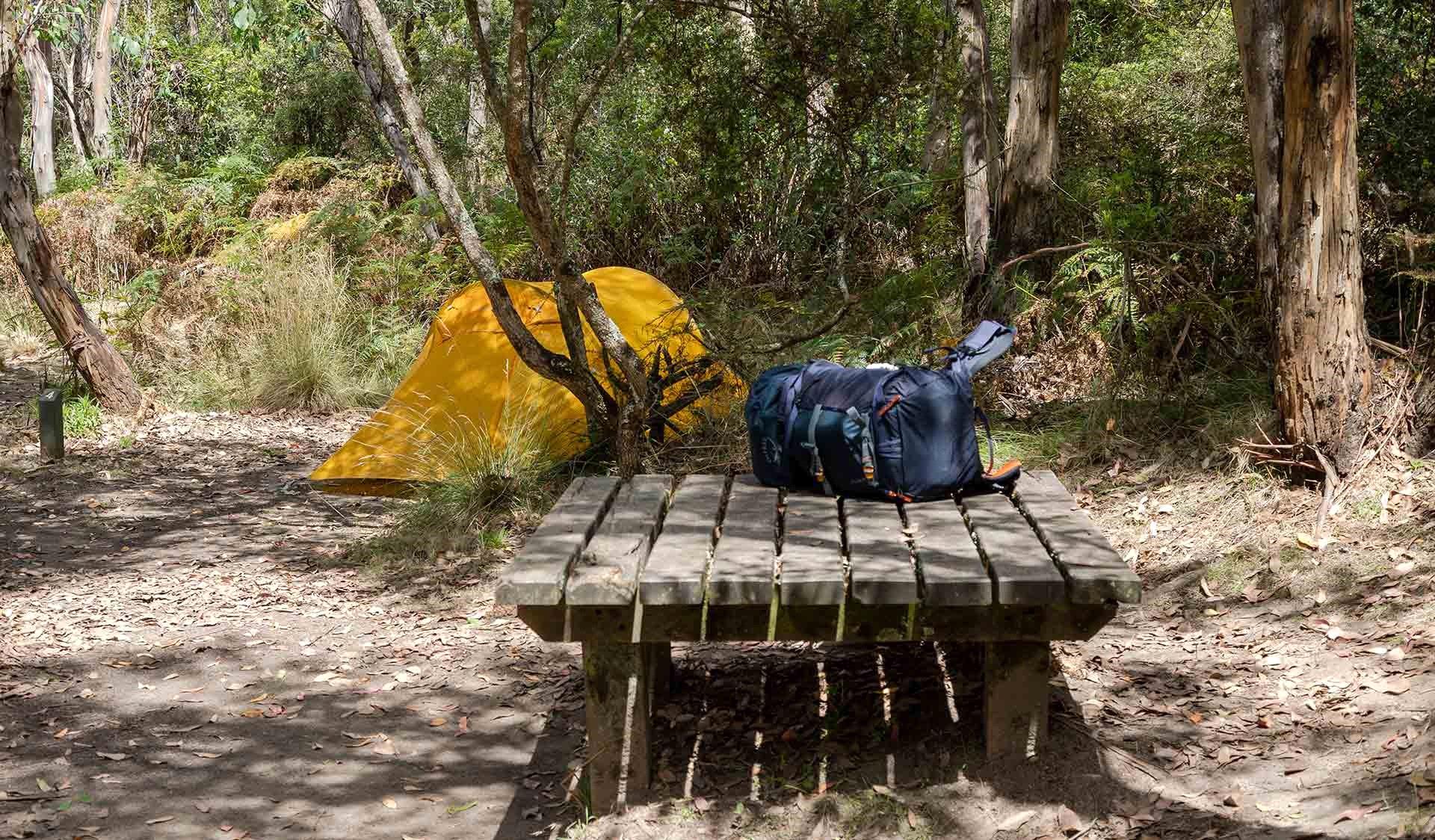 Elliot-Ridge-Hike-in-Campground.jpg