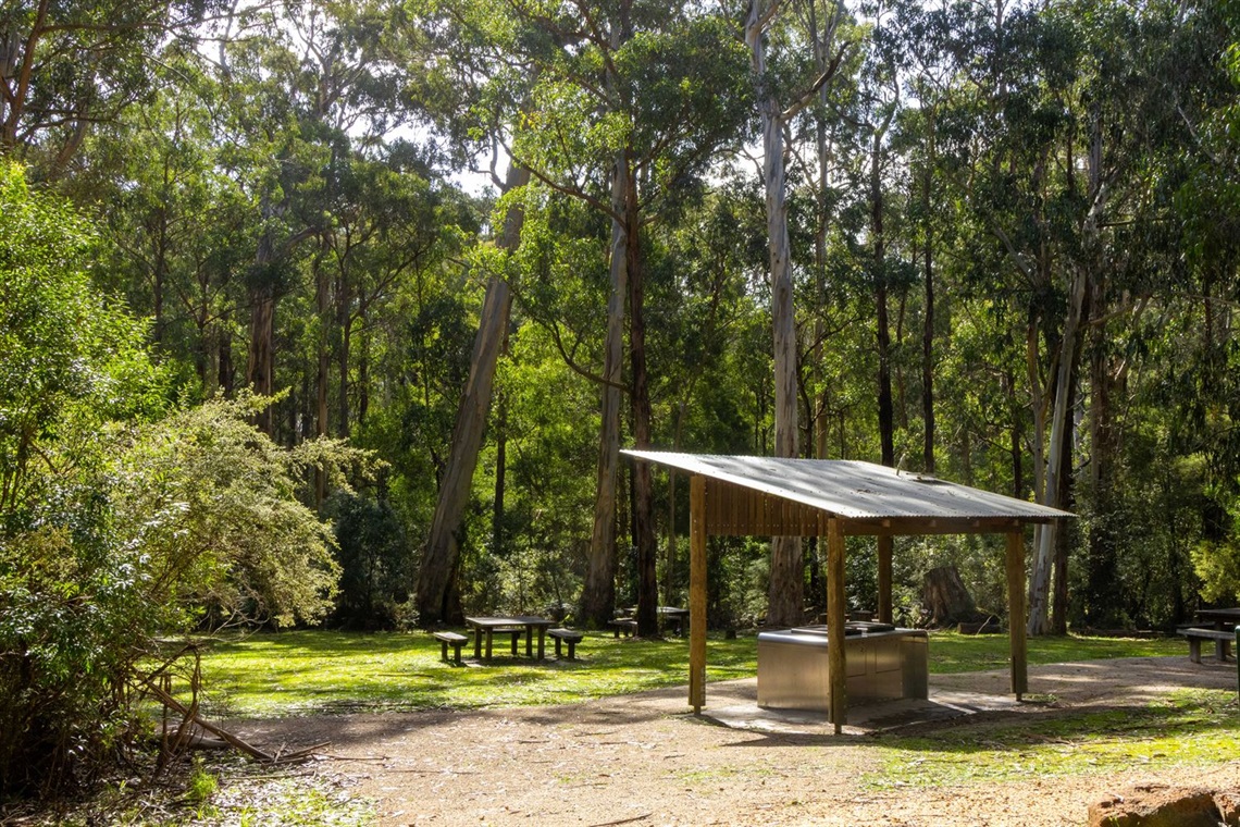Sheoak Picnic Grounds-13.jpg