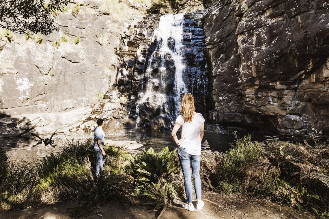 Sheok Falls Lorne 053A1605-large (1).jpg