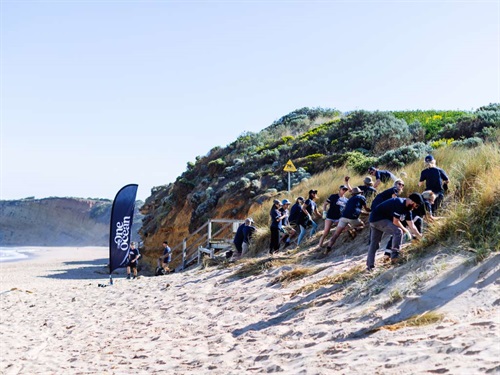 WSL One Ocean Event - whole group weeding the Jan Juc dune system.