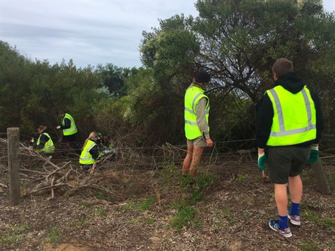 ur Coast Guardians have been busy this school term, removing extensive weeds from Torquay coastal reserves.