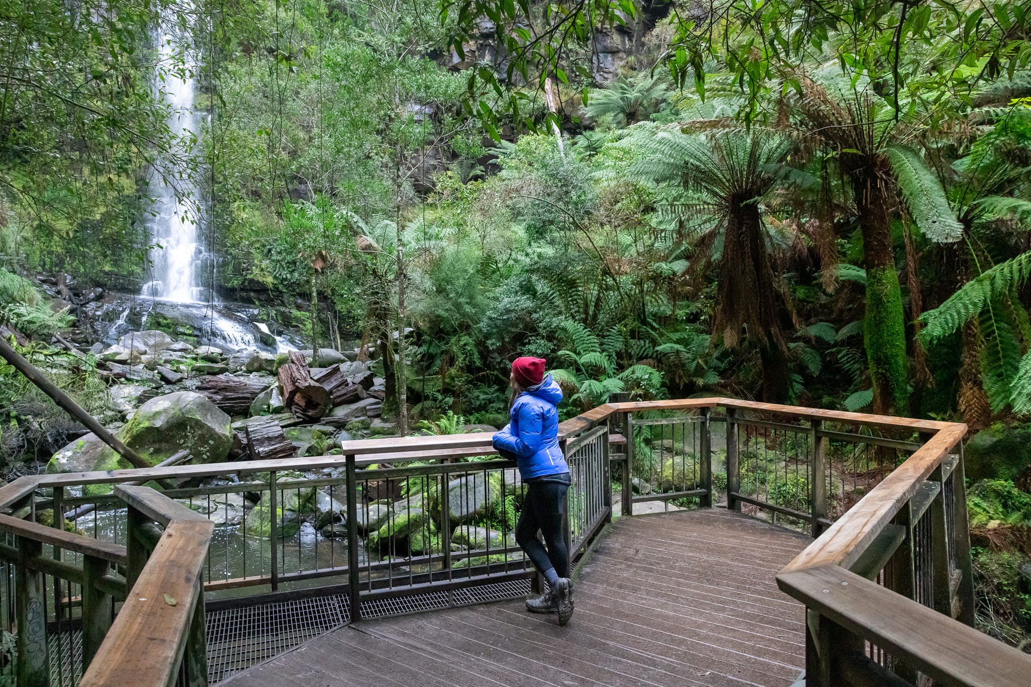 Erskine Falls upgraded 2024.jpg
