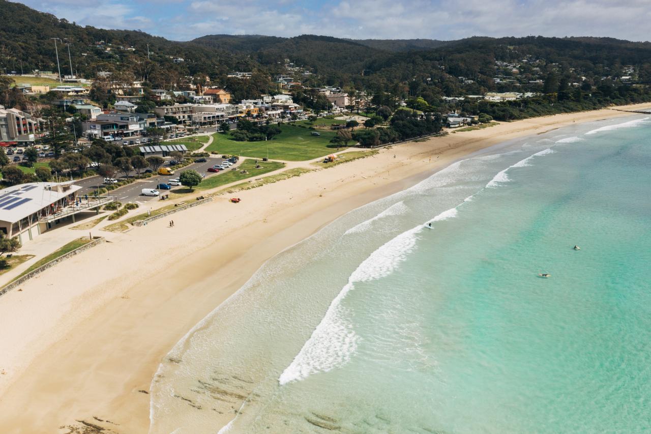 Lorne_154365 (1).jpg